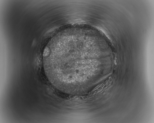 X0000093461063200711091545
