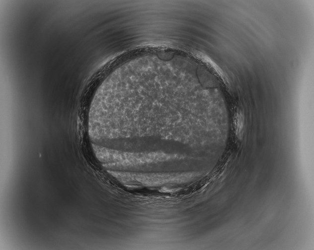 X0000093461064200711091545