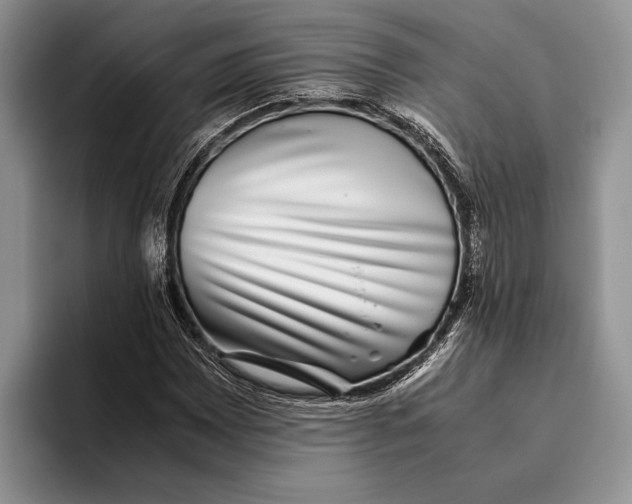 X0000093461065200711091545