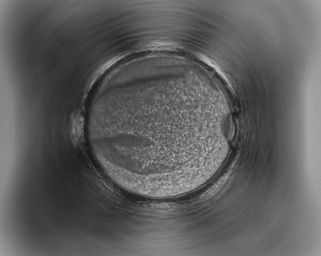 X0000093461066200711091545