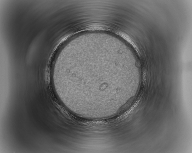 X0000093461067200711091545