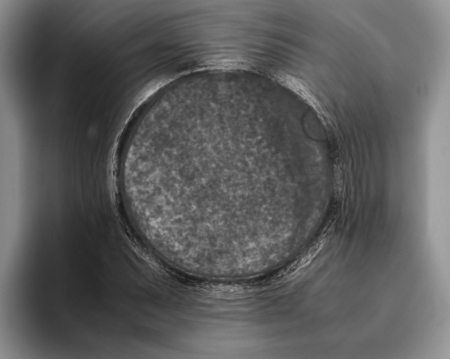 X0000093461071200711091545