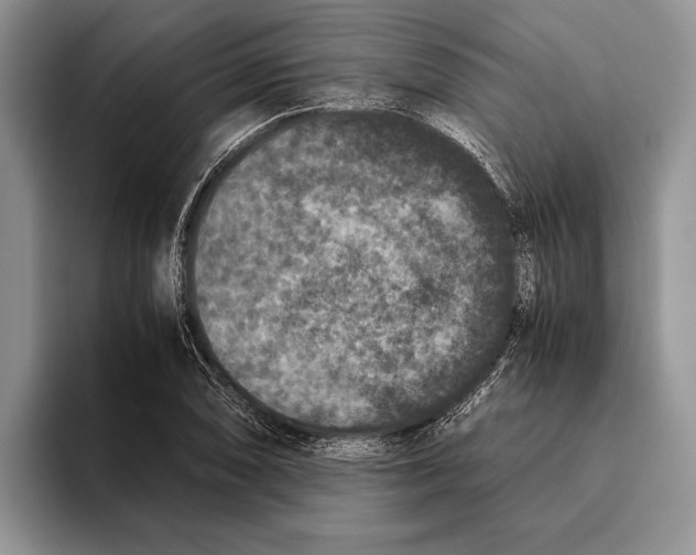 X0000093461074200711091545