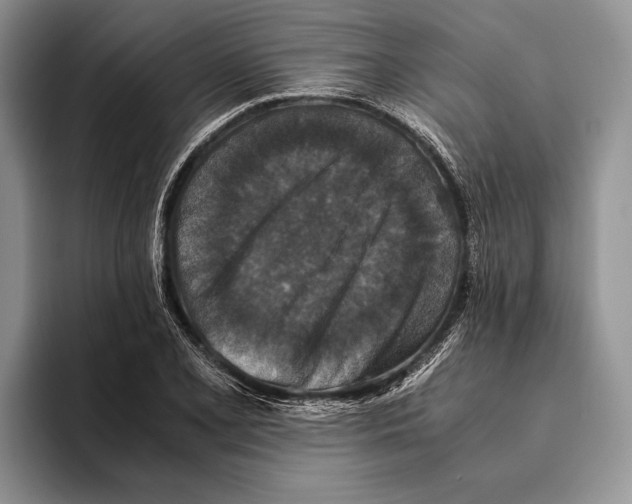 X0000093461077200711091545