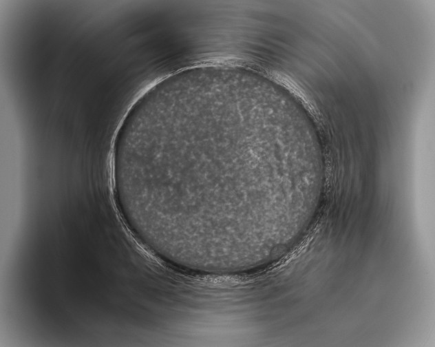 X0000093461079200711091545