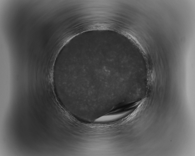 X0000093461081200711091545