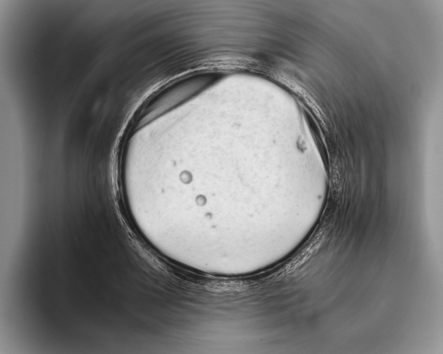 X0000093461083200711091545
