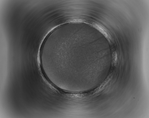 X0000093461084200711091545