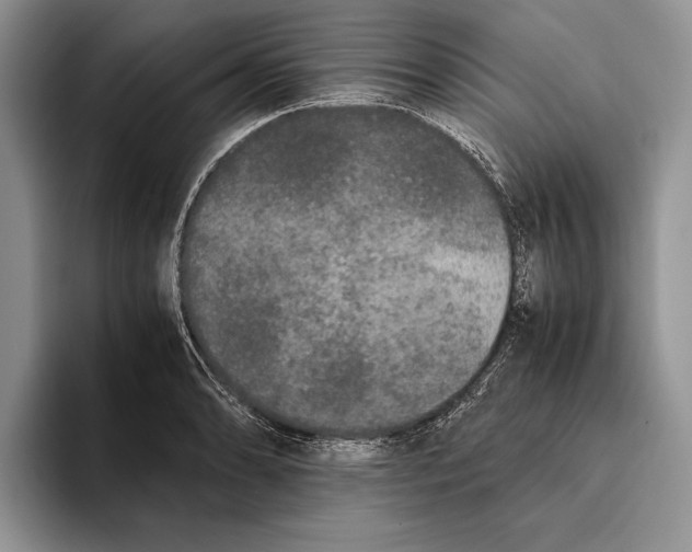 X0000093461086200711091545