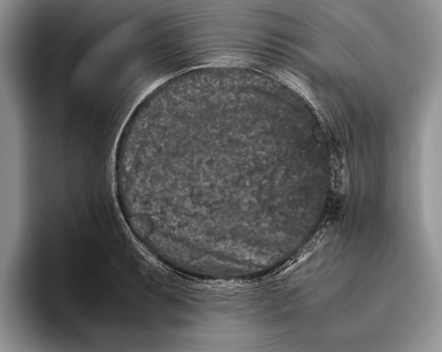 X0000093461087200711091545