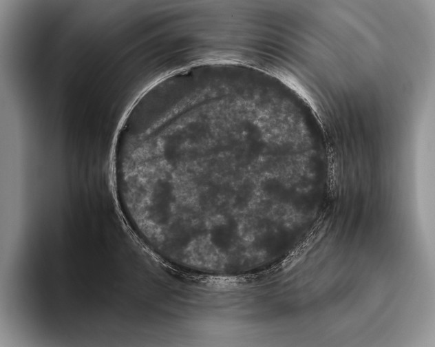X0000093461088200711091545