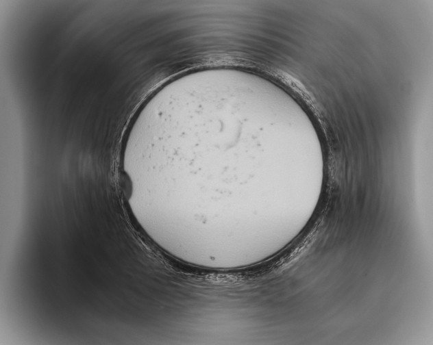 X0000093461089200711091545