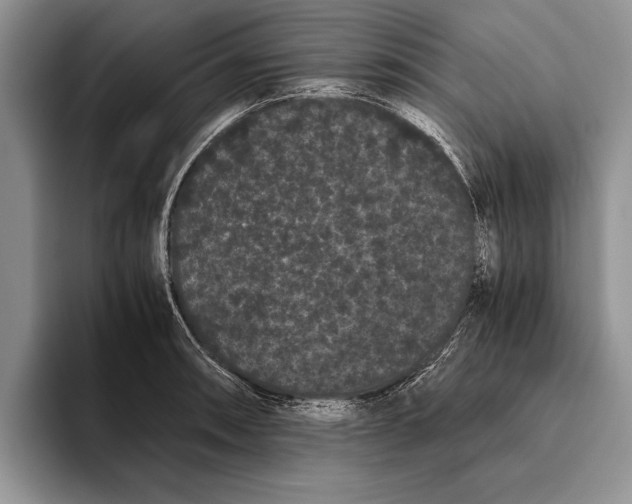 X0000093461090200711091545