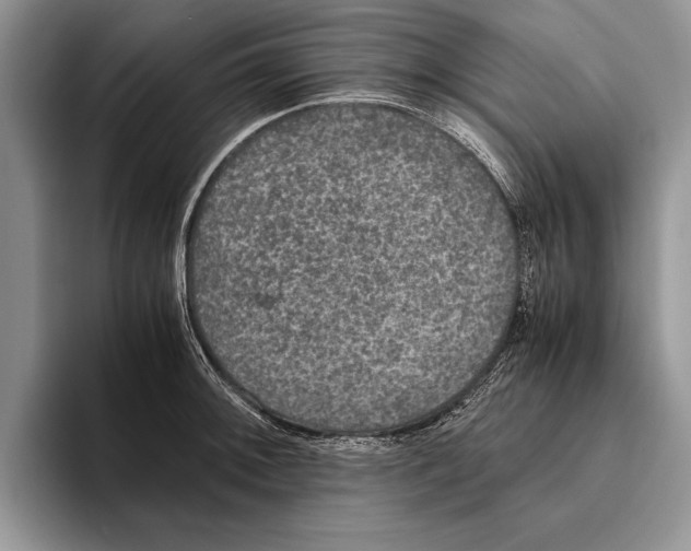 X0000093461092200711091545