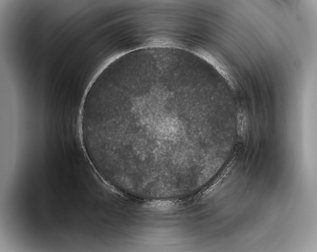 X0000093461094200711091545