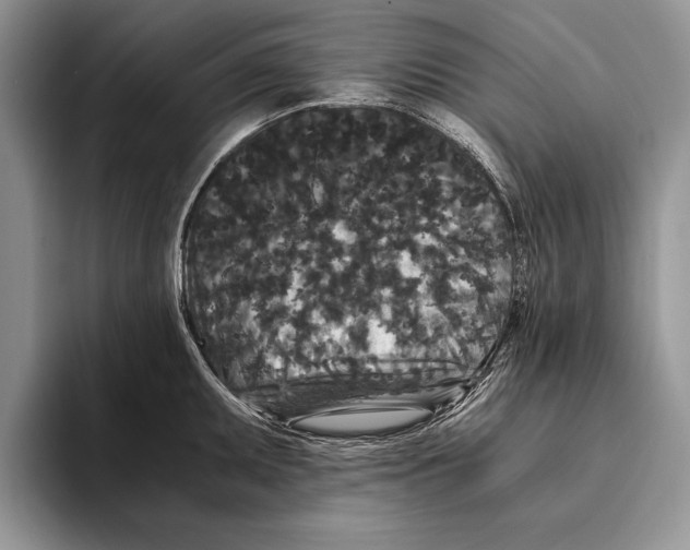X0000093461095200711091545