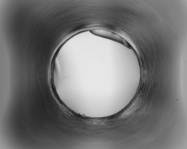 X0000093461101200711091545