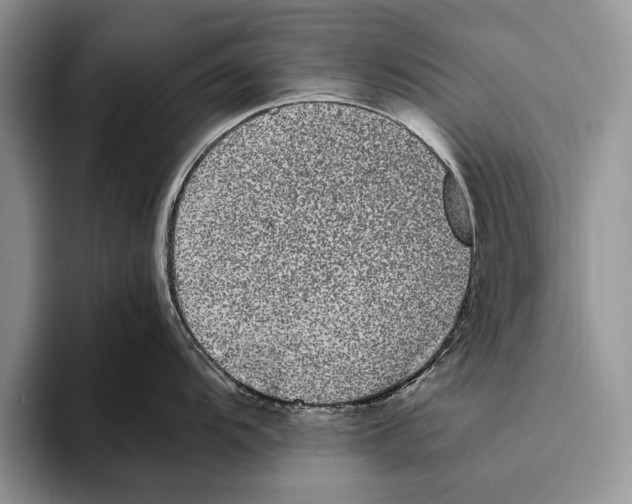 X0000093461104200711091545