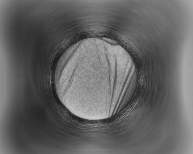 X0000093461108200711091544
