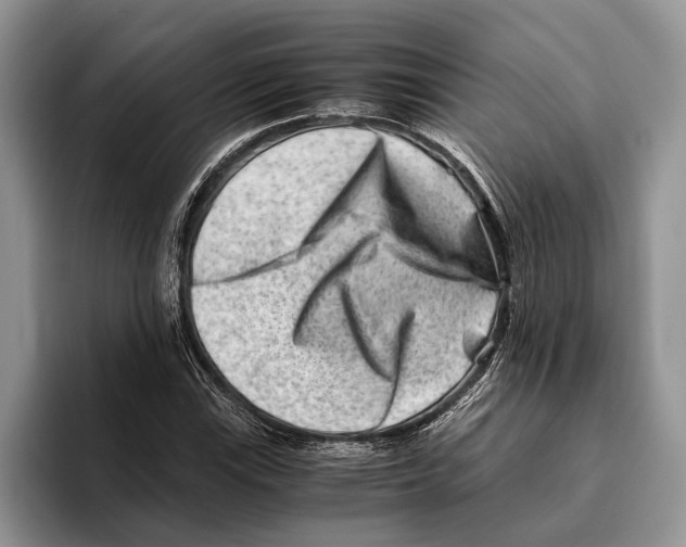 X0000093461115200711091544