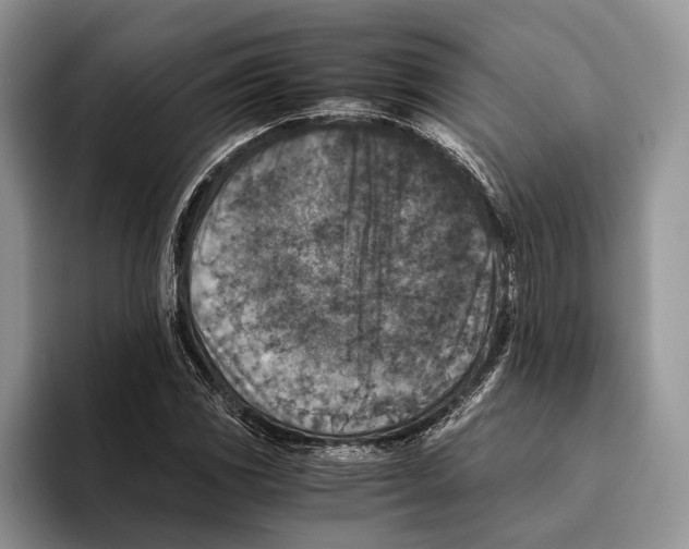 X0000093461117200711091544