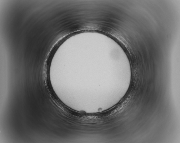X0000093461119200711091544