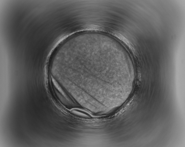 X0000093461120200711091544