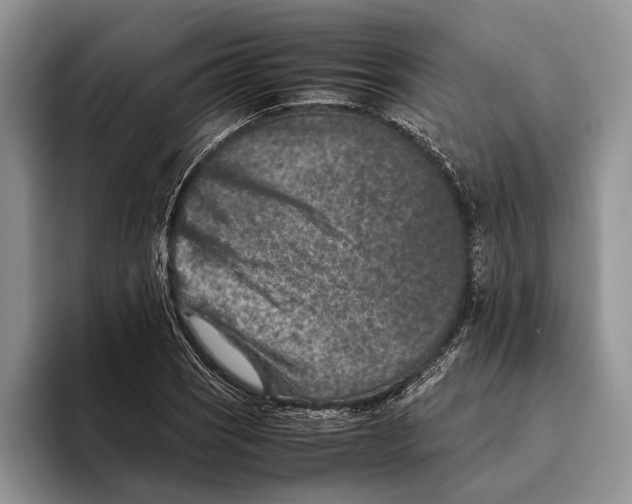 X0000093461121200711091544