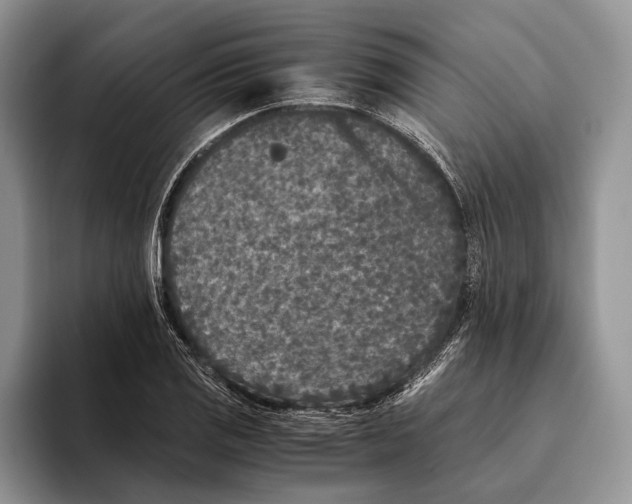 X0000093461125200711091544