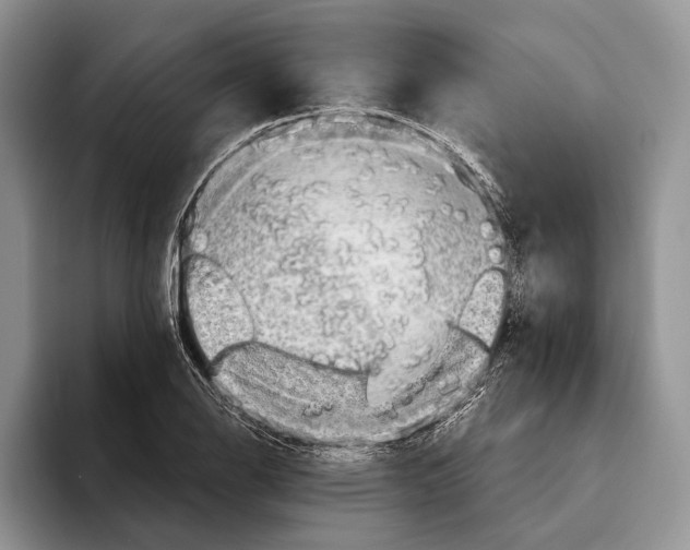 X0000093461126200711091544