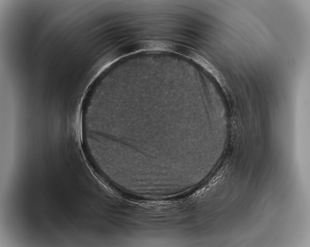 X0000093461127200711091544