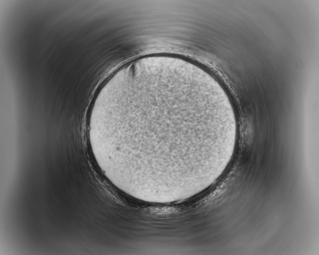 X0000093461129200711091544