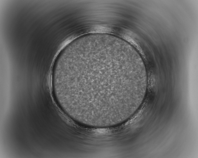 X0000093461130200711091544