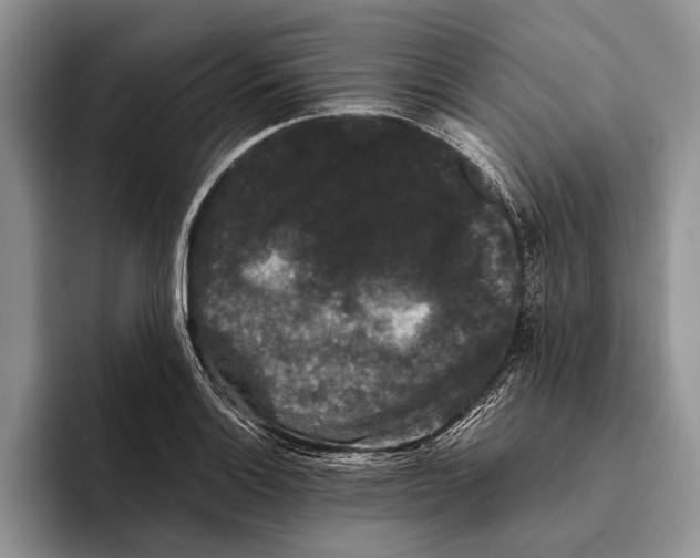 X0000093461132200711091544