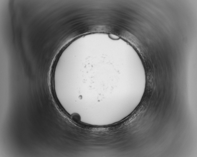X0000093461135200711091545