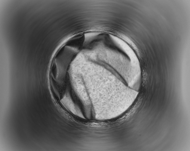 X0000093461138200711091545