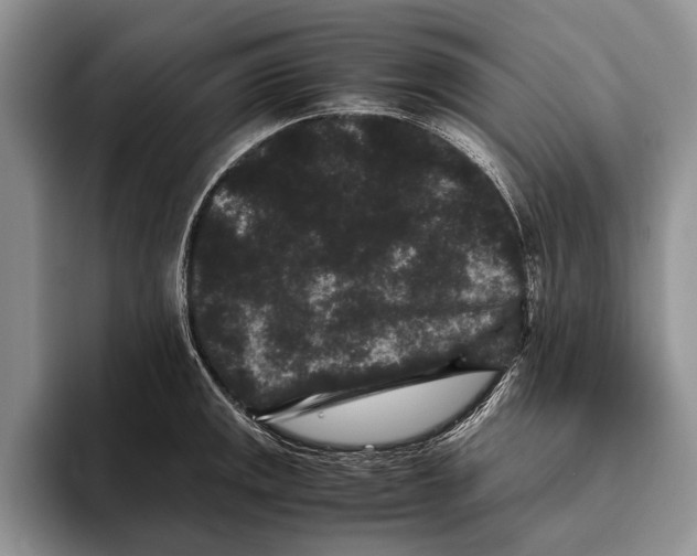 X0000093461141200711091545