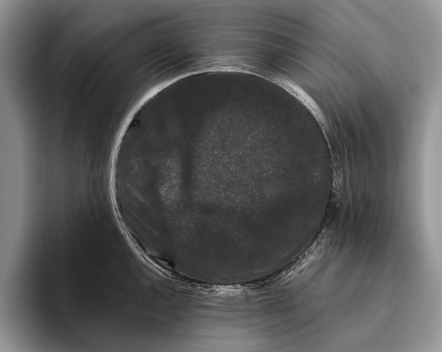 X0000093461144200711091545