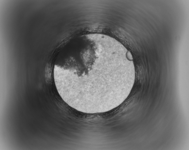 X0000093461154200711091544
