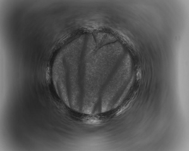 X0000093461156200711091544