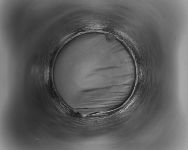 X0000093461161200711091544