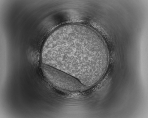 X0000093461169200711091544