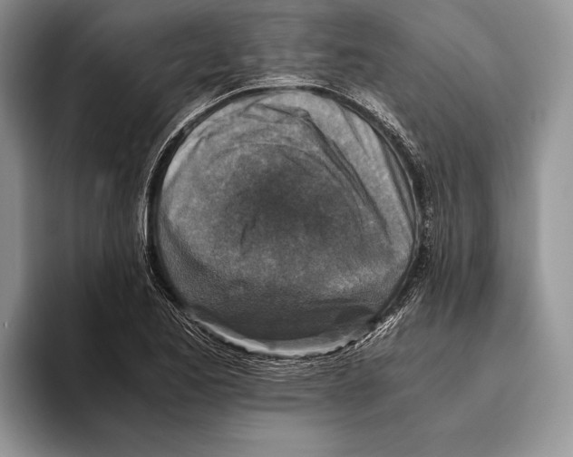 X0000093461173200711091544