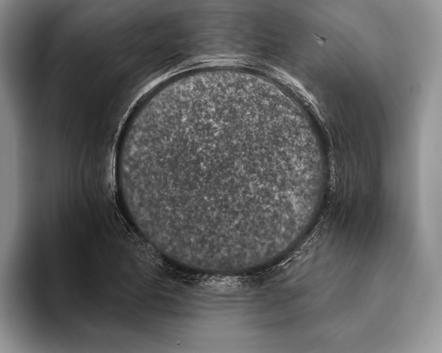 X0000093461174200711091544