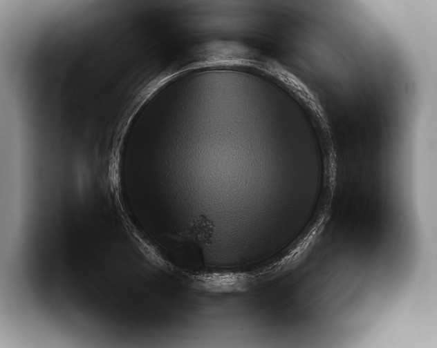 X0000093461177200711091544