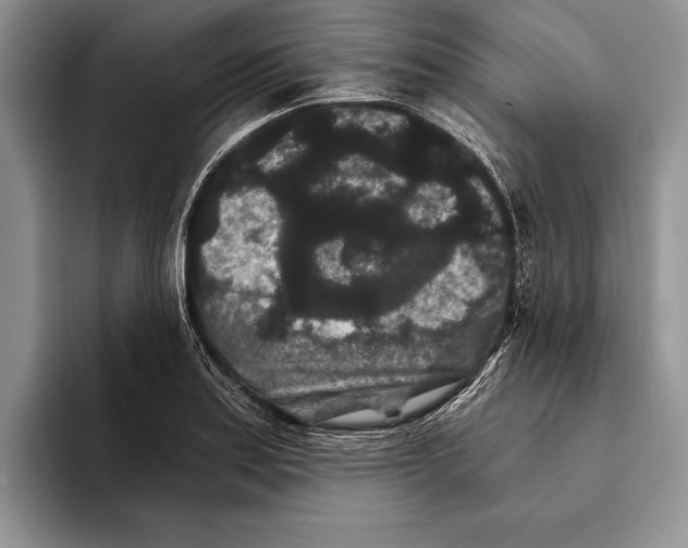 X0000093461179200711091544