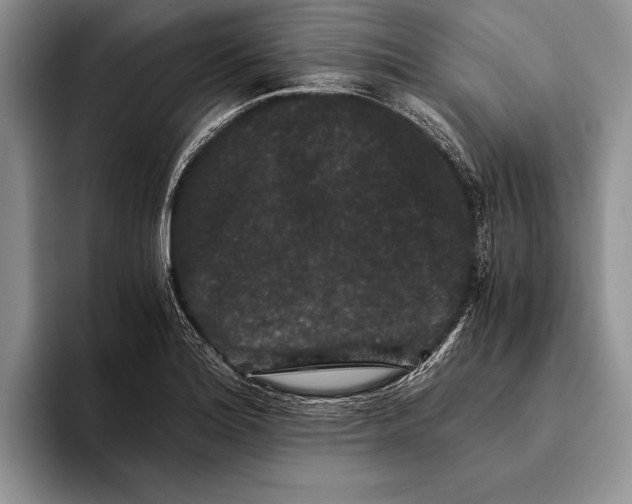 X0000093461180200711091544