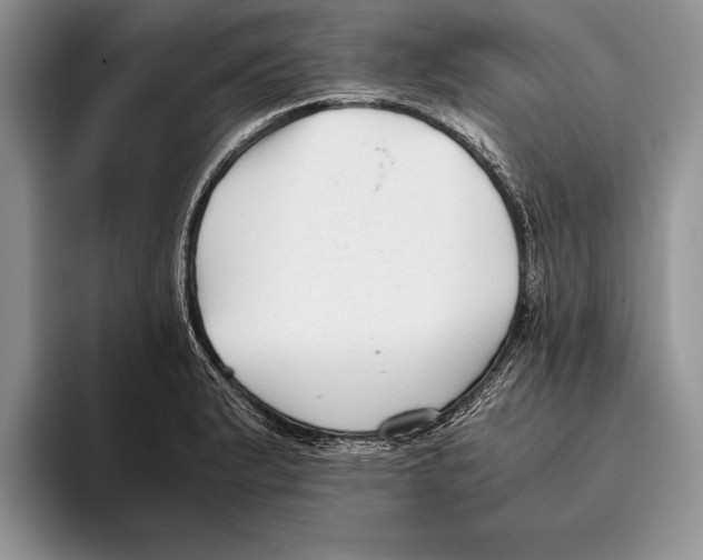 X0000093461183200711091544