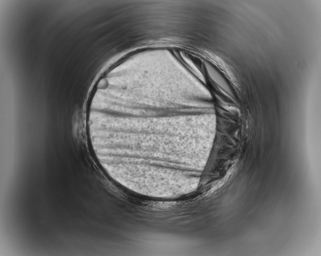 X0000093461184200711091544