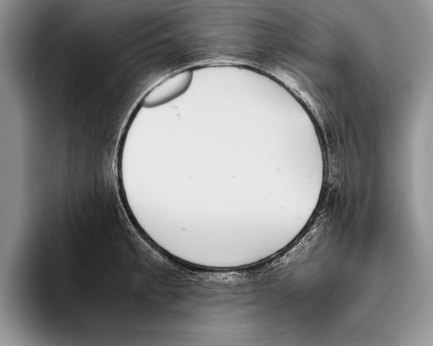X0000093461189200711091544